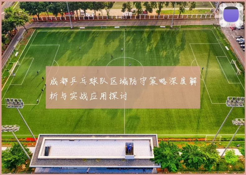 成都乒乓球队区域防守策略深度解析与实战应用探讨