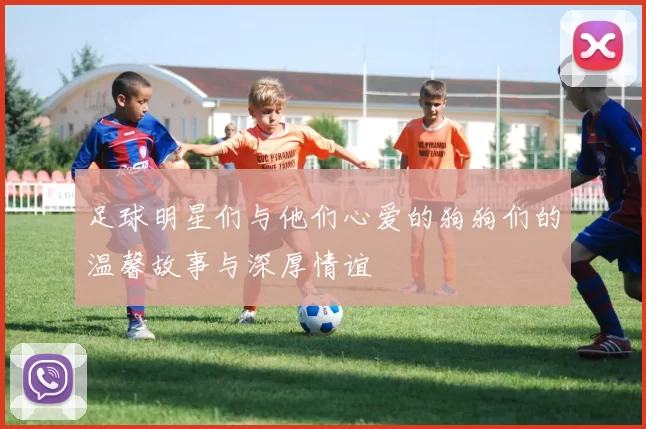 足球明星们与他们心爱的狗狗们的温馨故事与深厚情谊