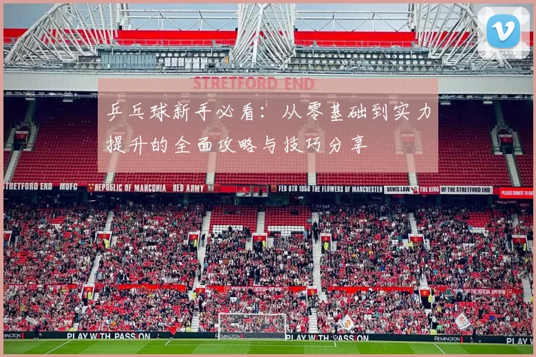 乒乓球新手必看：从零基础到实力提升的全面攻略与技巧分享