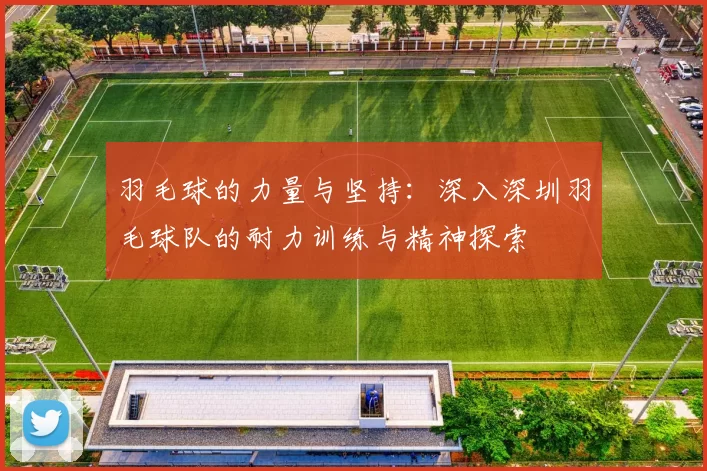 羽毛球的力量与坚持：深入深圳羽毛球队的耐力训练与精神探索