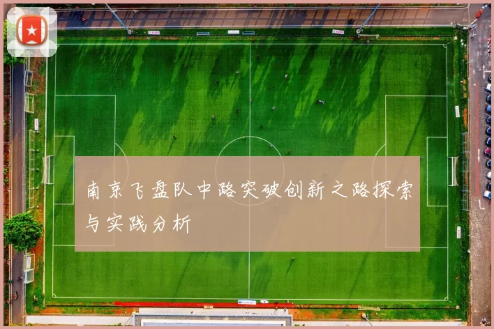南京飞盘队中路突破创新之路探索与实践分析