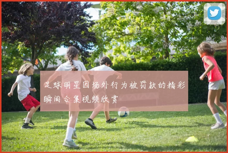 足球明星因场外行为被罚款的精彩瞬间合集视频欣赏