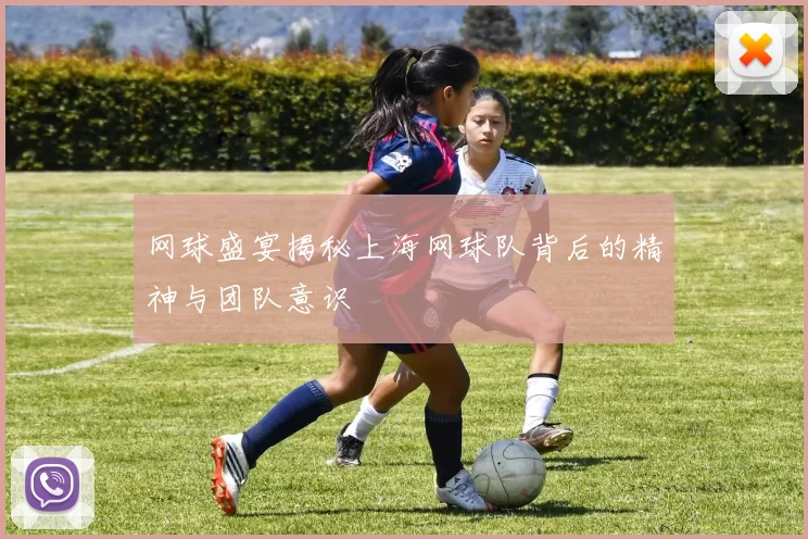 网球盛宴揭秘上海网球队背后的精神与团队意识