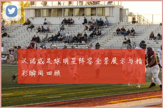汉诺威足球明星阵容全景展示与精彩瞬间回顾