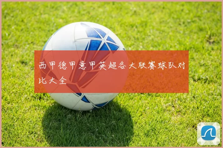 西甲德甲意甲英超各大联赛球队对比大全