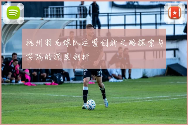 杭州羽毛球队运营创新之路探索与实践的深度剖析