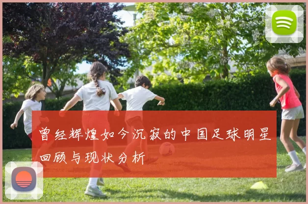 曾经辉煌如今沉寂的中国足球明星回顾与现状分析