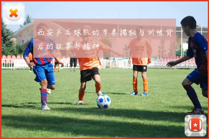 西安乒乓球队的节奏揭秘与训练背后的故事与精神