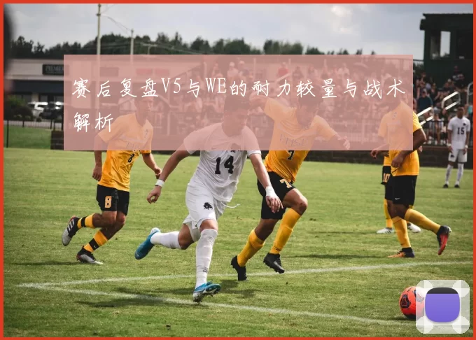 赛后复盘V5与WE的耐力较量与战术解析