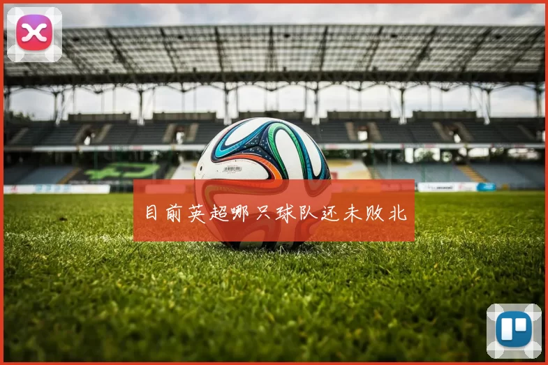 目前英超哪只球队还未败北