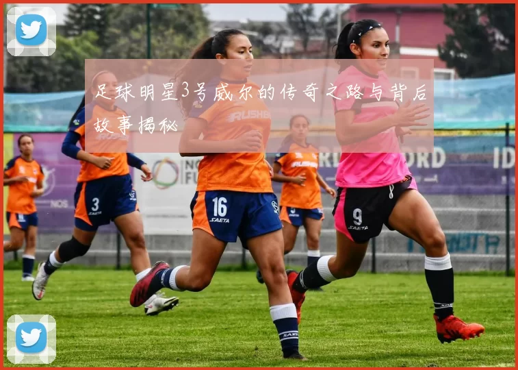 足球明星3号威尔的传奇之路与背后故事揭秘