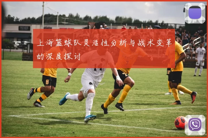 上海篮球队灵活性分析与战术变革的深度探讨