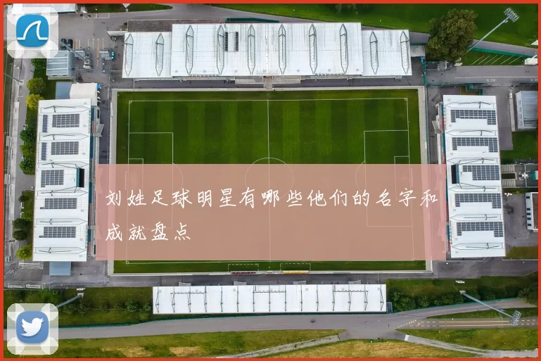 刘姓足球明星有哪些他们的名字和成就盘点