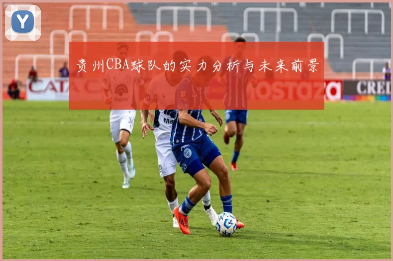 贵州CBA球队的实力分析与未来前景