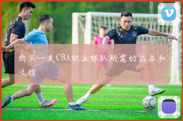购买一支CBA职业球队所需的成本和流程